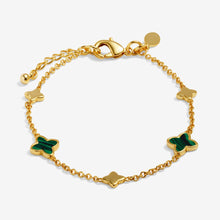 Load image into Gallery viewer, JOMA JEWELLERY | LOVED BY YOU | GREEN CLOVER BRACELET