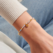 Load image into Gallery viewer, JOMA JEWELLERY | AFFIRMATION CARD | DREAMER BRACELET
