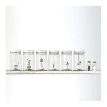 Load image into Gallery viewer, EAST OF INDIA | WORLD IN A JAR | HOME IS WHERE THE HEART IS
